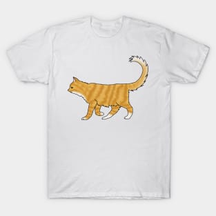 Fluffy orange cat T-Shirt